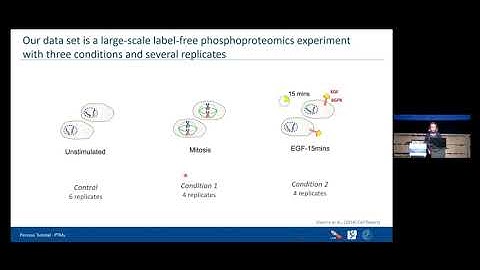 MQSS 2022 | Perseus computational PTM tutorial | Şule Yilmaz-Rumpf