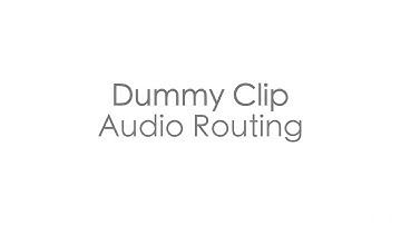 Dummy Clips (Advanced DJing with Ableton Live)