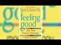 David d  burns  feeling good the new mood therapy  part 1