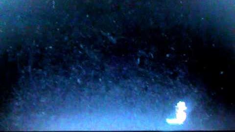 Rumble figher:how to install a sound pack