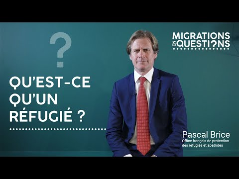 Qu’Est-Ce Qu’Un Emploi Protégé