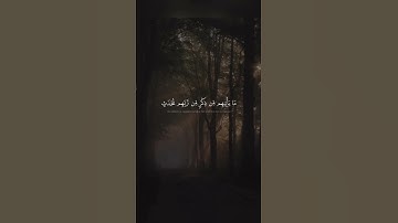سورة الأنبياء بصوت جميل (مقطع قصير).  #قرآن #fpy #عرب