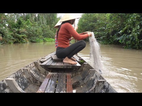 Video 269 / Trãi Nghiệm Một Ngày Săn Bắt Giữa Đồng Nước Nổi - youtube