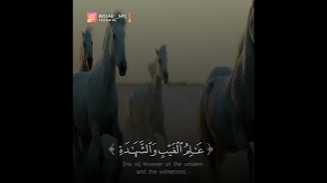 حالات واتس اب دينيه القارئ سعيد الخطيب