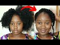 Quick &amp; Simple Hairstyle for Natural Hair|Under 5 Min #shorts #4chair #naturalhair