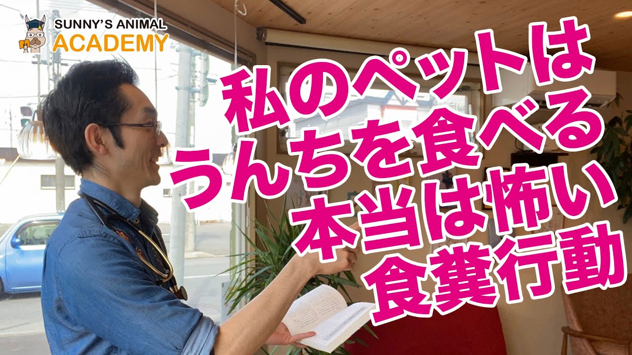 私のペットはうんちを食べる〜本当は怖い食糞行動〜（サニーズアニマルクリニック）
