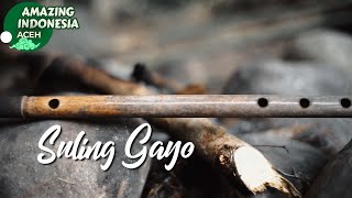 Suling Gayo | Amazing Indonesia Aceh