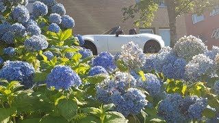 Квартира в аренду в Норвегии: 65 евро в день Квартира в аренду в Норвегии: 65 евро в день