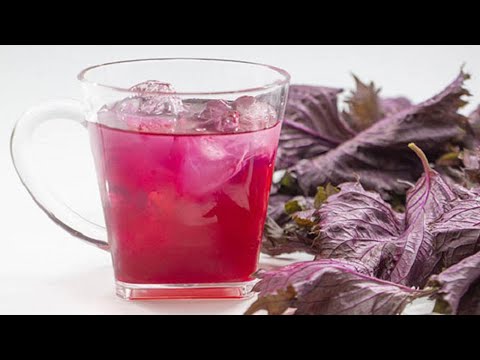 Video Tía tô được ví tốt ngang thần dược chữa ho, giải cảm,... - youtube