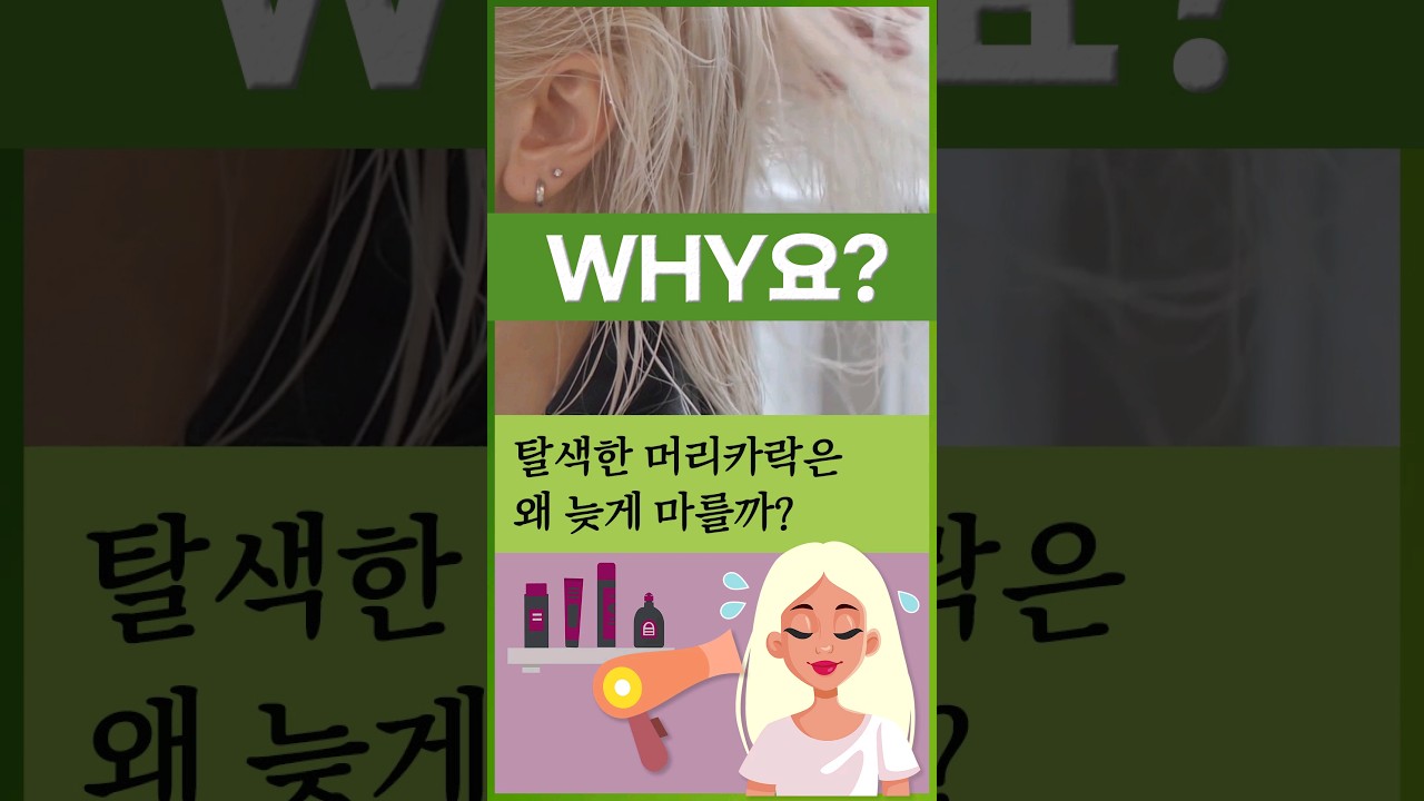 Why요?] 탈색한 머리카락은 왜 늦게 마를까? | 연합뉴스