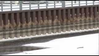 Record low lake levels raise concerns