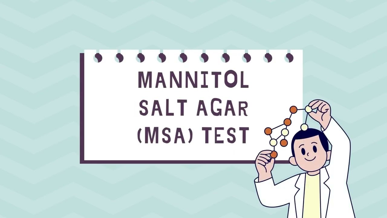 Laboratory Procedure for the ID of  Gram-Positive Cocci and E. coli