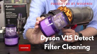 Filter Cleaning  Dyson V15 Detect