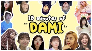 10 minutes of dami / 10분 드림캐쳐 다미 모음집 🐼