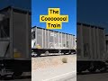 The coooooooal train shorts train jgkix