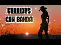PUROS CORRIDOS VIEJITOS CON BANDA 💕 Corridos Con Banda Pa&#39; Pistear Mix 2024