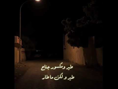 بدر العزي لو نرجع بالأيام لاتبكين ياعيني حالات واتس شيلات شيلة حزين تصميم 2021