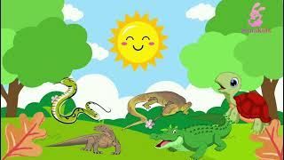 Belajar Mengenal hewan Reptil Yuuukkk | Anak & Balita