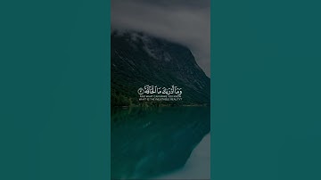 القارئ محمد صديق المنشاوي سورة الحاقة