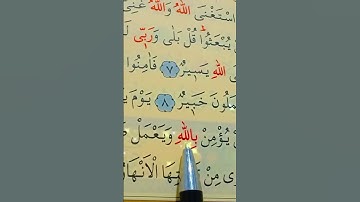 سورة التغابن الأية 8 إلى 9 القارئ سعد الغامدي