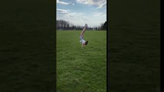 IMG 0186