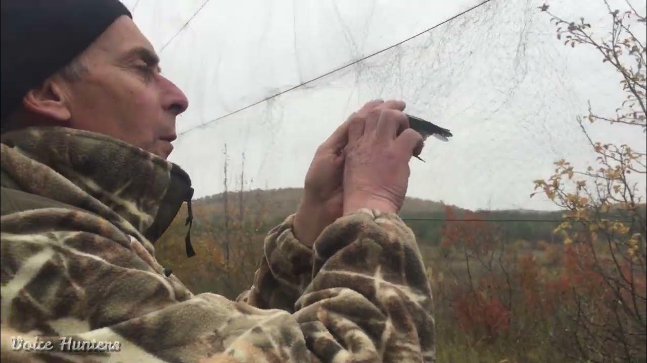 Ловля певчие видео. Ловля певчие видео