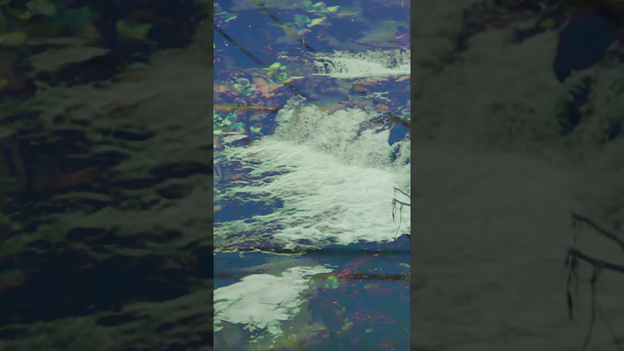 she's green - Wisteria EP - YouTube