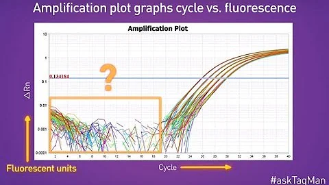 Baselines in Real-Time PCR -- Ask TaqMan®: Ep. 5
