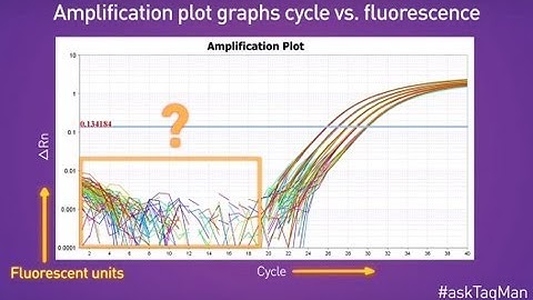 Baselines in Real-Time PCR -- Ask TaqMan®: Ep. 5