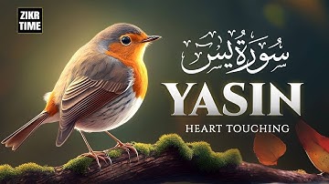 Surah Yaseen (Yasin) سورة يس | Ultimate Relaxing Quran Will Touch Your Heart إن شاء الله #surahyasin