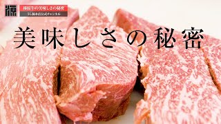 うし源本店のお肉はなぜ美味しいのか！？大和榛原牛の美味しさの秘密を教えます！！ウェットエイジング/wagyu wet aging