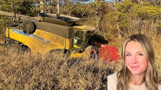 Big New Holland Combine Stuck in the Creek! | Harvest 23