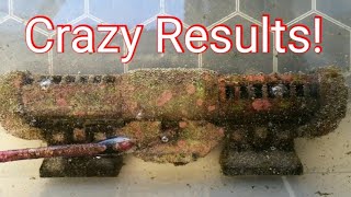 Cleaning Redsea Reefwave 25 with Citric Acid, Amazing results!