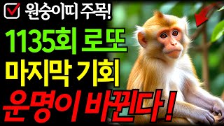 1135회 로또 원숭이띠 고민 해결됩니다ㅣ로또ㅣ재물운ㅣ풍수