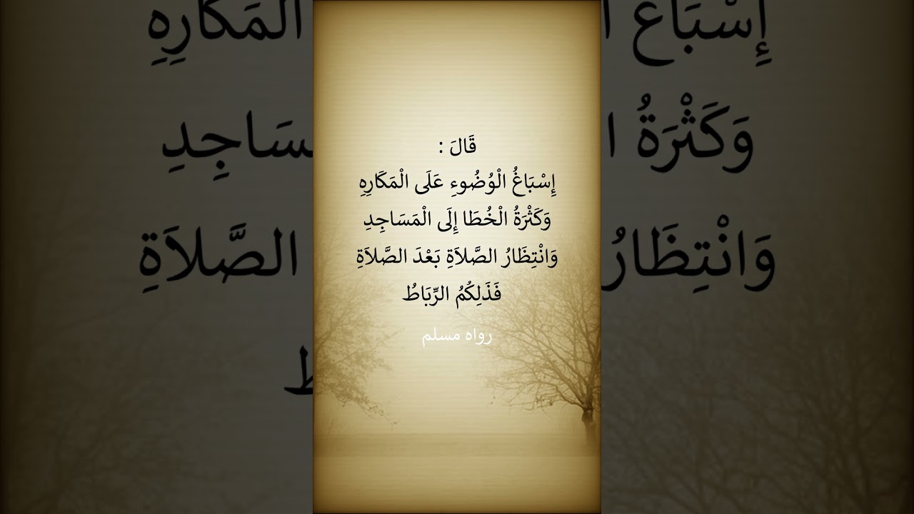 ألا أدلكم على ما يمحو الله به الخطايا ويرفع به الدرجات ؟ الشيخ عبد الرزاق البدر