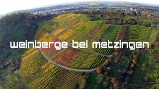 Weinberge bei Metzingen | 1440p