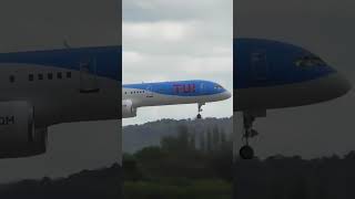 Plane Lands Too Fast