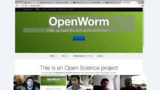 OpenWorm Status Update - 10th-December-2012