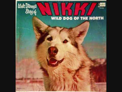 walt-disney's-story-of-nikki-wild-dog-of-the-north