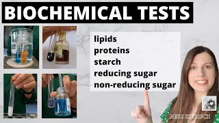 Alevel BIOCHEMICAL TESTS test for starch, reducing sugars, nonreducing sugars, proteins, lipids