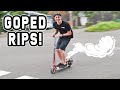 GOPED IS FIXED & FIRST RIPS!