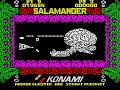 ZX Spectrum Longplay [223] Salamander (EU)