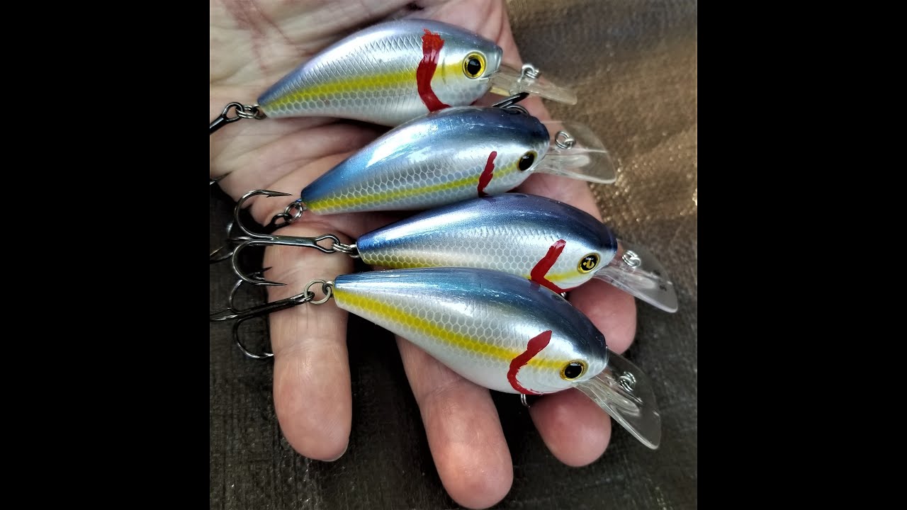 SQUARE BILL TALK AND A SPECIAL SPINNERBAIT
