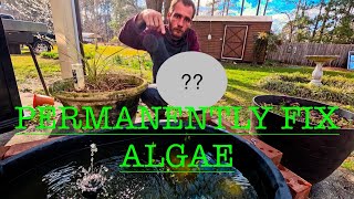 The algae solution // immediately remove and prevent algae in your pond