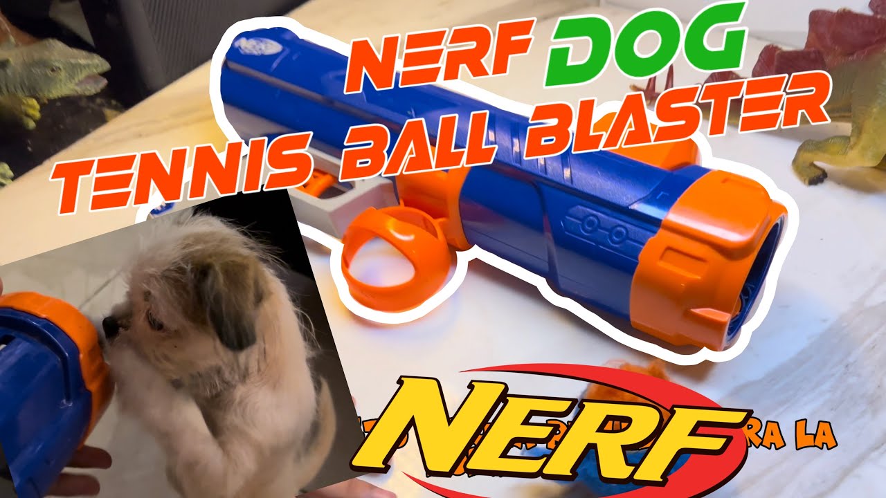 Epic NERF DOG tennis blaster revision/review 🐶🐶🐶🐕😎😎😝😝