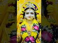 Radha rani ki Jay Maharani ki Jay 🙏🏾 #radheradhe #radheshyam #radhakrishna #radha #radhegovind