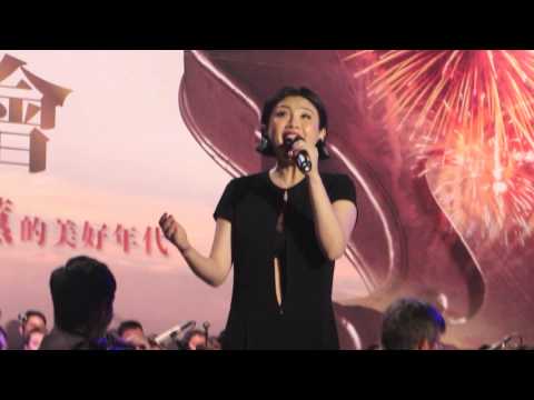 2015.10.31 魏如萱_月亮代表我的心(cover)_日月潭花火音樂會
