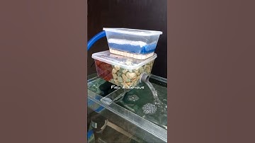 Aquarium top filter DIY | Fish tank filter DIY
