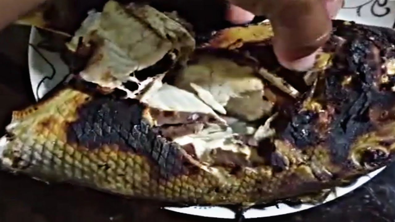 Inihaw na Pakol o Trigger fish ang pait pala ng Atay nito mga Master🤣 ...