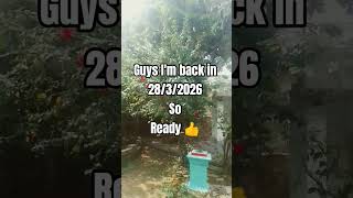 im back information #youtubeshorts #roblox #phonkagressive #memes #sab  #itzcutieplayzrobloxedits